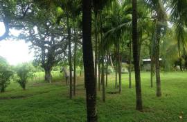 Estate For Sale on Ometepe Island
