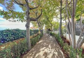 Serene Refuge in Ponta do Sol: Discover the Exclusive Charm of this Country House - A Unique Investment Opportunity