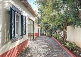 Serene Refuge in Ponta do Sol: Discover the Exclusive Charm of this Country House - A Unique Investment Opportunity