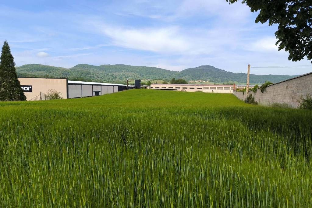 Urban land for sale in Maeztu
