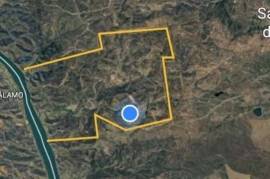 Hunting & Equestrian Estate - Finca - Riverside - 980 HA/ 1500HA - Spanish/Portuguese Border