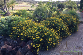 Hunting & Equestrian Estate - Finca - Riverside - 980 HA/ 1500HA - Spanish/Portuguese Border