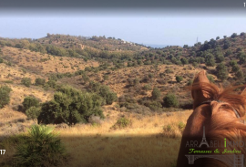 Hunting & Equestrian Estate - Finca - Riverside - 980 HA/ 1500HA - Spanish/Portuguese Border