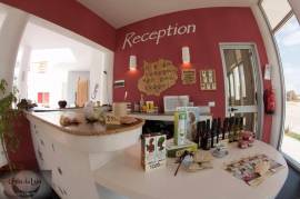 Excellent 1 Bed Apartment For Sale In Boavista Cape Verde