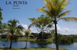 Tranquil 12-Acre Lake-Front Tropical Haven in Central America’s