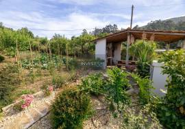 Unique Property in Caminha with Two Houses and Space for Tourist Rental