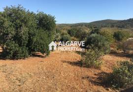 Farm to refurbish with country views