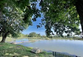 À vendre a Bergerac, Ensemble de gites sur 30500m2 de parc, piscine et etang de peche
