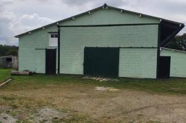 Detached Country House with Outbuilding