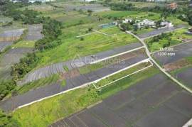 Prime Investment Opportunity, 1330 sqm Land in Belalang – Tabanan