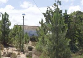 Set of 4 houses to renovate on a plot of 788 m2 with open views of the Gulf of Sado - Possanco / Comporta