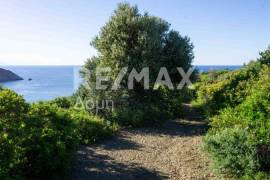 Agricultural 7444 sq.m for sale