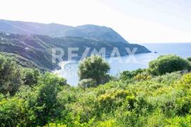 Agricultural 7444 sq.m for sale