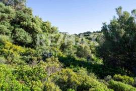 Agricultural 7444 sq.m for sale