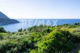 Agricultural 7444 sq.m for sale