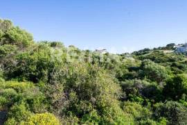 Agricultural 7444 sq.m for sale
