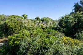 Agricultural 7444 sq.m for sale