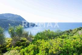 Agricultural 7444 sq.m for sale