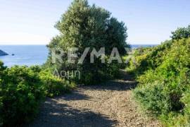 Agricultural 7444 sq.m for sale