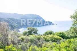 Agricultural 7444 sq.m for sale