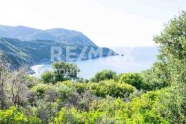 Agricultural 7444 sq.m for sale