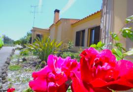 4 bedroom single storey villa with garage and swimming pool
