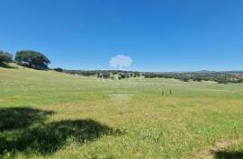Estate in Terrugem with 115 hectares