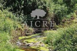 Estate in Terrugem with 115 hectares