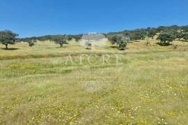 Estate in Terrugem with 115 hectares