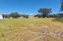 Estate in Terrugem with 115 hectares