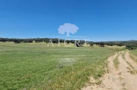 Estate in Terrugem with 115 hectares