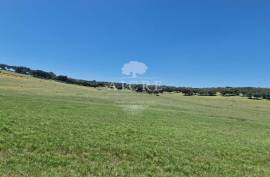 Estate in Terrugem with 115 hectares