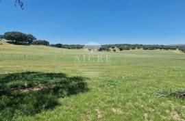 Estate in Terrugem with 115 hectares