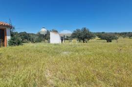 Estate in Terrugem with 115 hectares