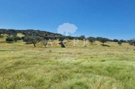 Estate in Terrugem with 115 hectares