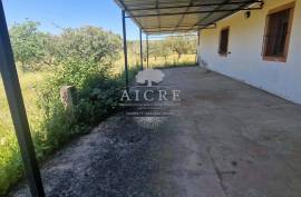 Estate in Terrugem with 115 hectares