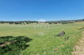Estate in Terrugem with 115 hectares