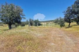 Estate in Terrugem with 115 hectares