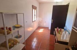Estate in Terrugem with 115 hectares