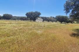 Estate in Terrugem with 115 hectares