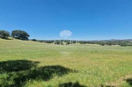 Estate in Terrugem with 115 hectares