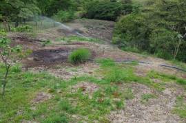 Commercial Estate With 2 Homes And Land For Sale in Alajuela, Costa