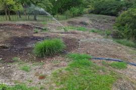 Commercial Estate With 2 Homes And Land For Sale in Alajuela, Costa