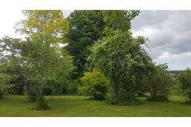 Chillaveau A luxury 6 bed, 2 home Country House with Large Barn, mature Gardens in Grand Brassac, Dordogne,