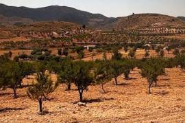 Excellent Plot of land With Planning Permission for sale in Velez-Rubio Lorca Murcia