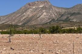 Excellent Plot of land With Planning Permission for sale in Velez-Rubio Lorca Murcia