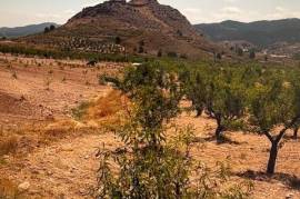 Excellent Plot of land With Planning Permission for sale in Velez-Rubio Lorca Murcia