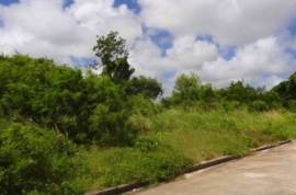 Excellent Plot of land for sale in Christ Church