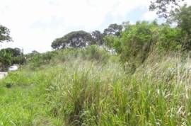 Excellent Plot of land for sale in Christ Church