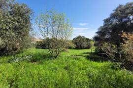 Old Character House To Renovate With 155 M2 Living Space Plus Separate Flat On 2095 M2 Of Building Land.